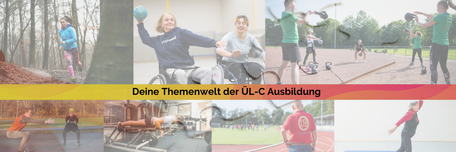 Banner-Grafik zu den Themenwelten im Lehrschein C des meinSportnetz NRW