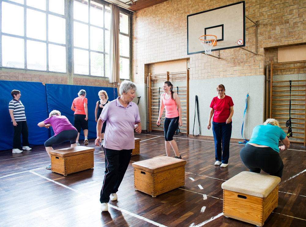 Zertifikat Bewegtes Altern … Die Bedeutung der großen Bewegungsmuster (Basispflichtmodul 1)